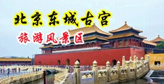 欧美搬白B中国北京-东城古宫旅游风景区